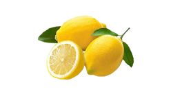 South Africa Lemon 10 x 1 set