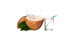 Instant Opened Coconut (with Coconut Water) 1 Each