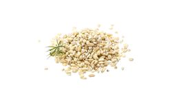Rice Beans 1 Pack