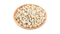 Chuanbei 1 Pack