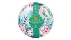 Organic Ginkgo Biloba Green Tea 1.7g x 10packs