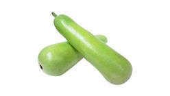 Bottle Gourd 20508906 1 Catty