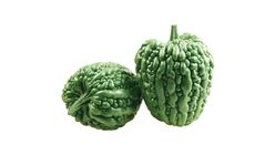 Green Pearl Bitter Gourd 21085499 1 Catty