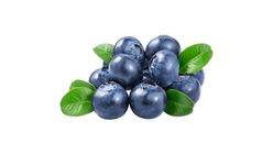 China Blueberry 1 Box