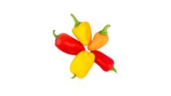 Mini Sweet Pepper 20041960 1 Box