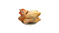 Qingyuan Chicken 20815318 1 Each