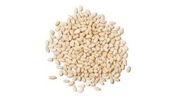 N06 Organic Pine Kernels Chinese China - Bulk - Sold per 100g