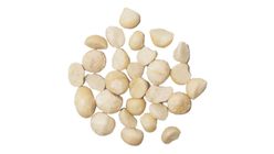 N05 Organic Macadamia Nuts - Bulk - Sold per 100g