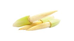 Anak Jagung | 1 Pek
