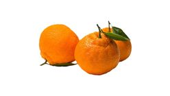 Imported ChunJian Juicy Mandarin 6s