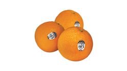 Sunkist 3107 Navel Orange 3107 Size - Large 5s 甜肉橙