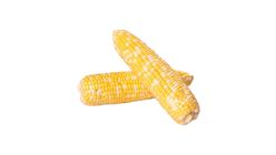 Cameron Corn | 1 Nos 珍珠玉米