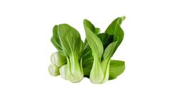 Short Mustard | ±300 g 小白菜