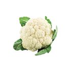 Bunga Kobis | 300 g