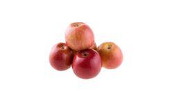 Natural Fresh Fuji Apple Normal | 6 Pieces