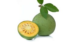Wood Apple Fruit Big Size 3KG
