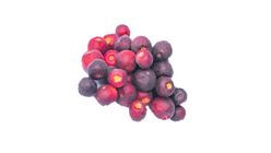 Falsa 1kg