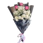 Blush and Bloom