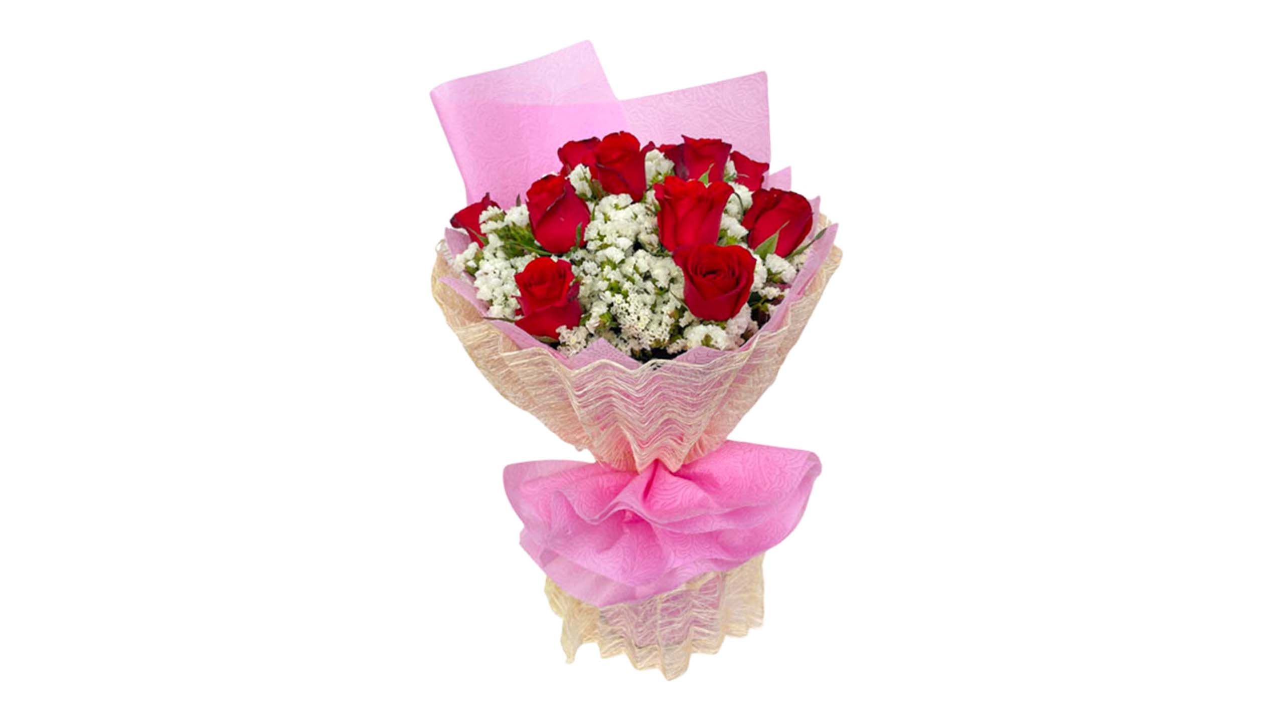 Snow Red Rose Flowers