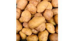 Potato 500g