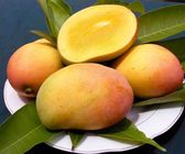 Langra Mango 1KG