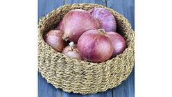 Indian Onion (Stored in Bag) 1kg