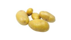 Wisebuy China Holland Seed Potato 1kg