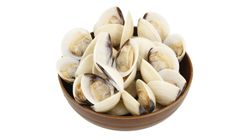 Pan Ocean White Clams 1kg