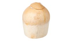 Fresh Siam Coconut 1pc