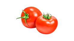 Maxco Tomato 500g