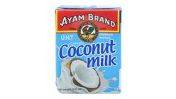 Ayam Brand Santan Kelapa 200ml