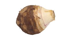Thai Taro 1pc