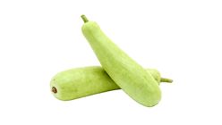 Veg - Bottle Gourd Malaysia 1kg