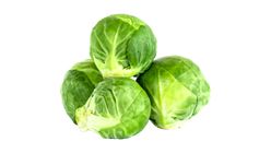 Vegetable - Cabbage Small 1kg