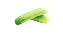 Veg - Cucumber Malaysia 1kg