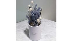 Starships Balloons Round Bloom Box - Mini (Preserved Flower: Single Colour Rose Blue) 1pc
