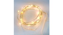 Xpressflower.com LED Light (Warm) 1pc