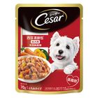 西莎蒸鮮包成犬牛肉與蔬菜口味 | 1包