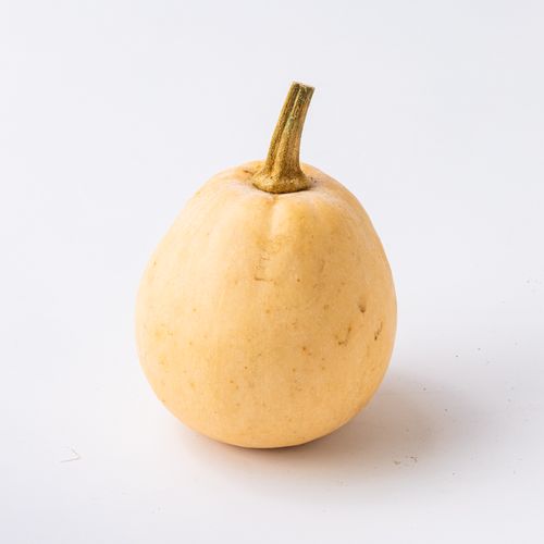 昇祐黑豬