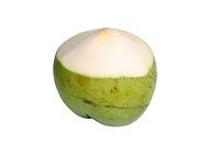 Green Peeled Coconut 1pcs