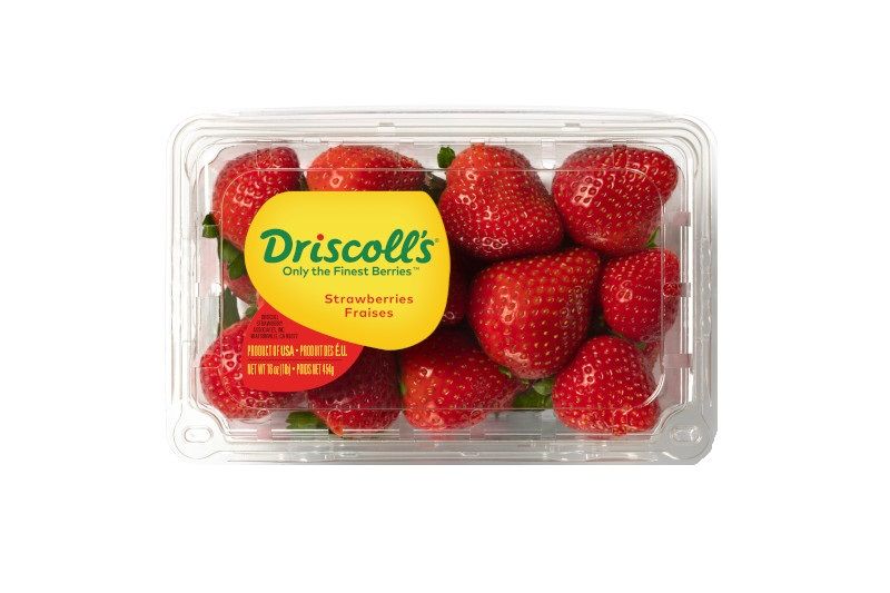 Buy Driscoll's Strawberries USA, 454g Online in Kuwait Talabat Kuwait