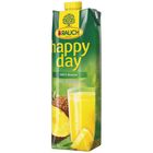 Rauch Happy Day Ananas 100% džus | 1 l