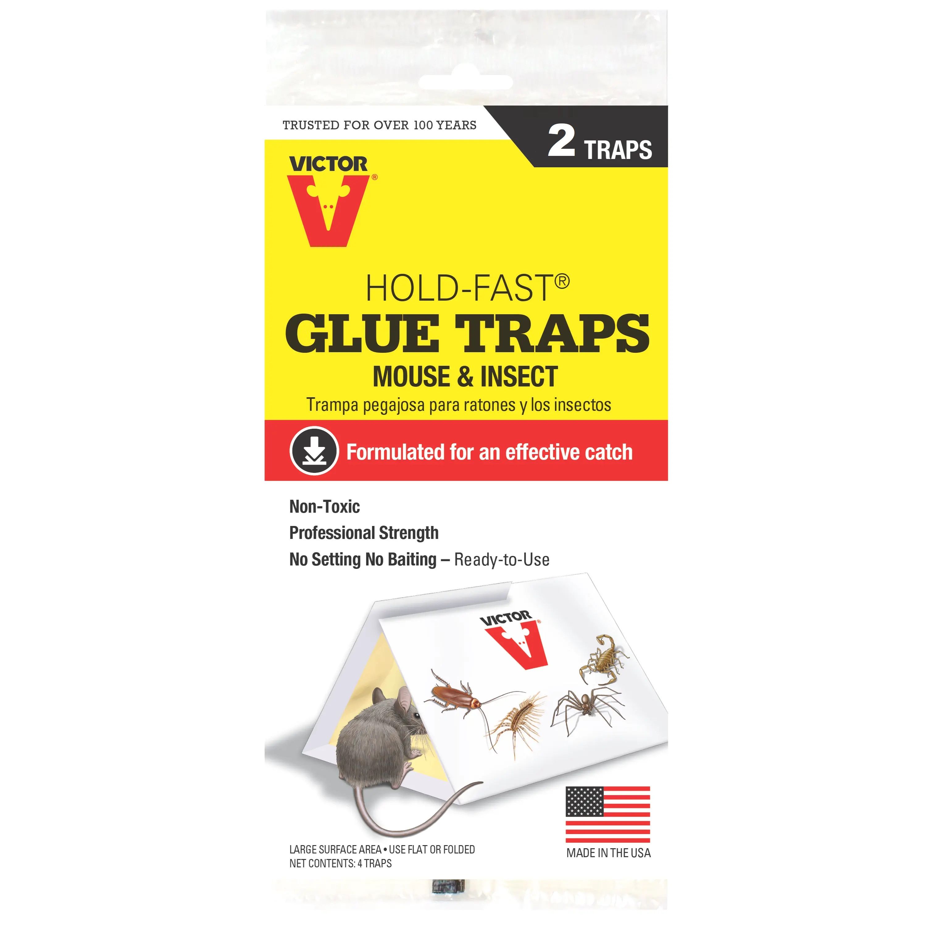 Anti Lizard Glue Trap 24x17cm - Buy Online in UAE