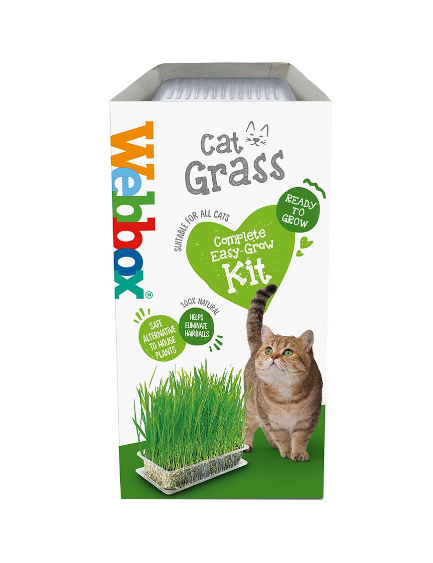 Buy box Cat Treat Cat Grass, 120g Online in Oman Talabat Oman