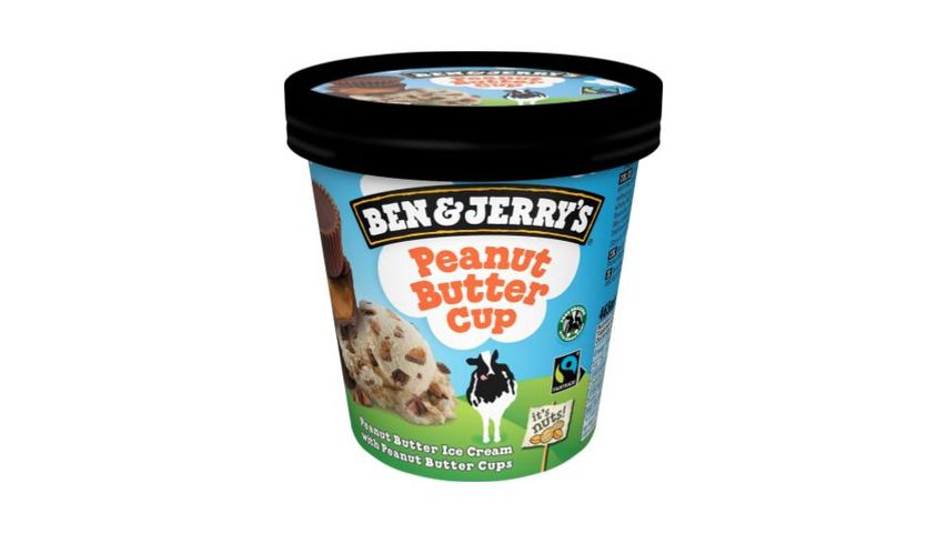 Ben & Jerry's Zmrzlina Peanut Butter Cup | 465 ml