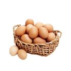 Sera Egg 1 Dozen