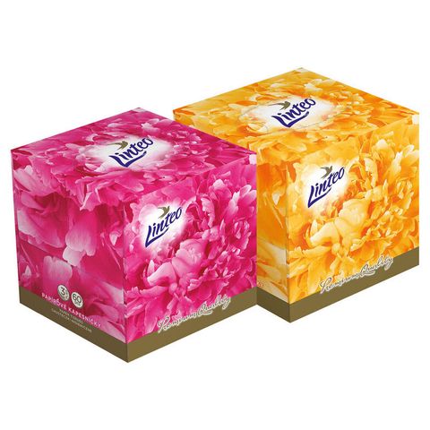 Linteo Paper tissues 3-Ply | 60 pcs