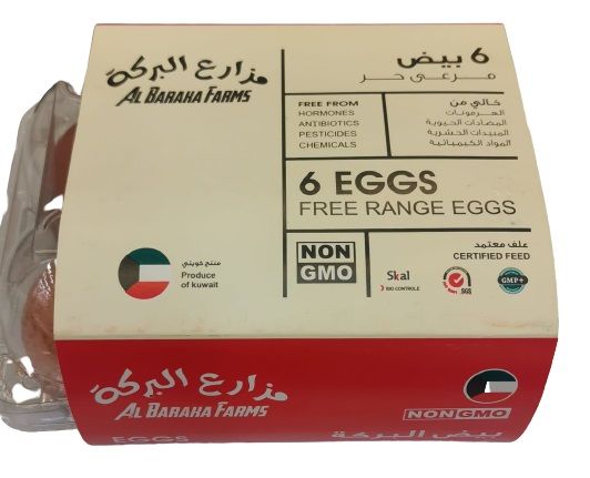 Buy Rubbermaid - Egg Keeper-red Cover, 2 Pk, Holds 20 Jumbo Eggs, Clear,  Plastic Online at desertcartKUWAIT