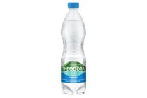 Theodora Kereki Sparkling Natural Mineral Water 0,5 l