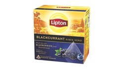 Lipton Tea Pyramid Black Currant 20piece